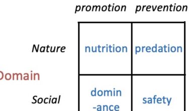 The Evolution of Brain and Intelligence