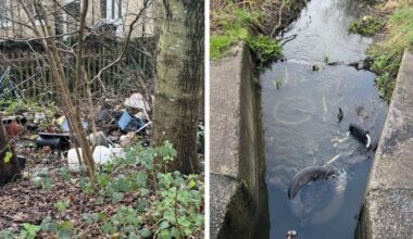 Rubbish dumped in Brookfield Park and in the brook