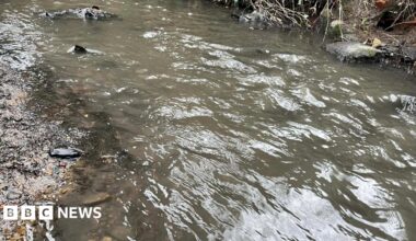 The water of a small beck has become a dark grey and black colour. It is opaque and the gravel at the bottom of the water cannot be seen.