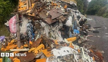 Tree-lined road with vast pile of fly-tipped rubbish strewn to the left side.