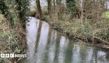 A narrow river with brown, murky water, flanked on both sides by dense trees and bushes.
