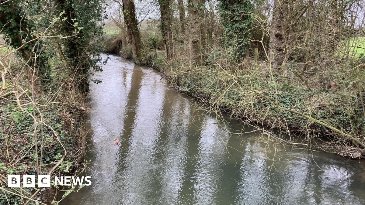 A narrow river with brown, murky water, flanked on both sides by dense trees and bushes.