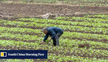 China’s rural pensions in focus as lawmakers fight for farmers’ fair share amid income gap