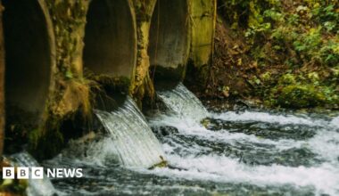 Water flowing out of three concrete pipes into river