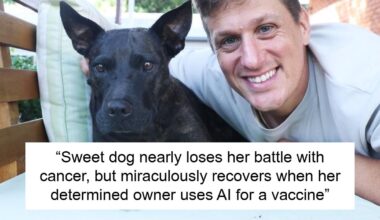 Engineer With No Medical Training Saves His Dog’s Life By Creating A Cancer Vaccine Using ChatGPT
