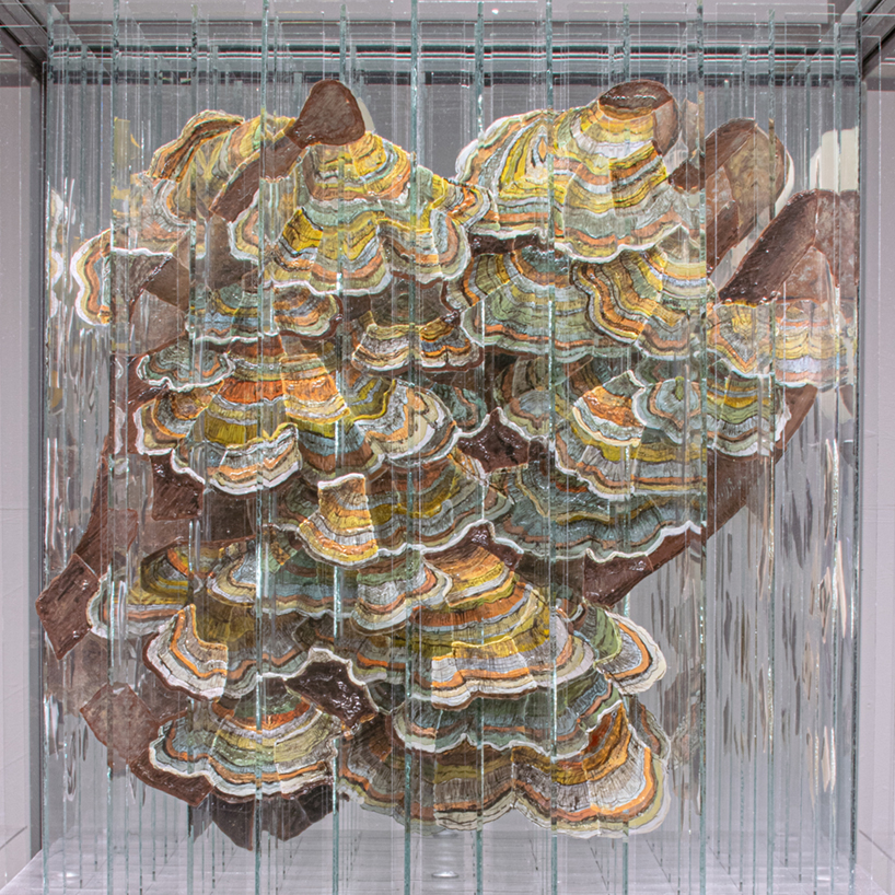 anamorphic installation by thomas medicus rotates into four shifting hand images - 4