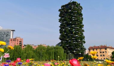 From human bias to shared space: Shaping a future that is within reach