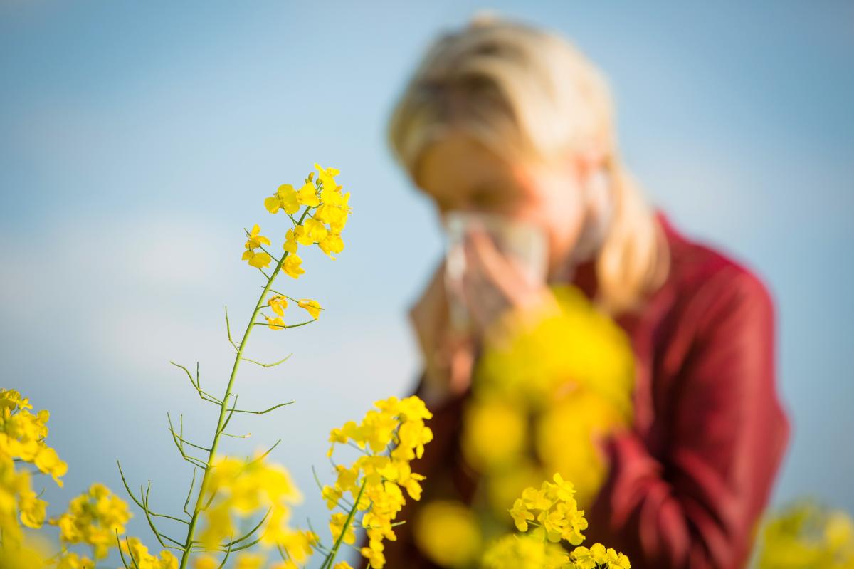 We're in for a bad allergy season — why your go-to meds may not work