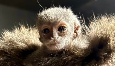 Yahoo lifestyle home