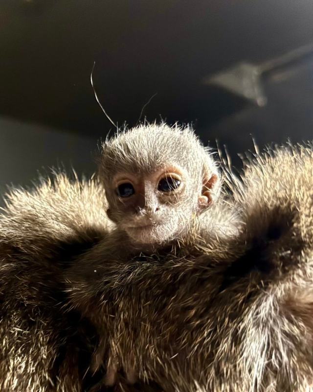 Yahoo lifestyle home