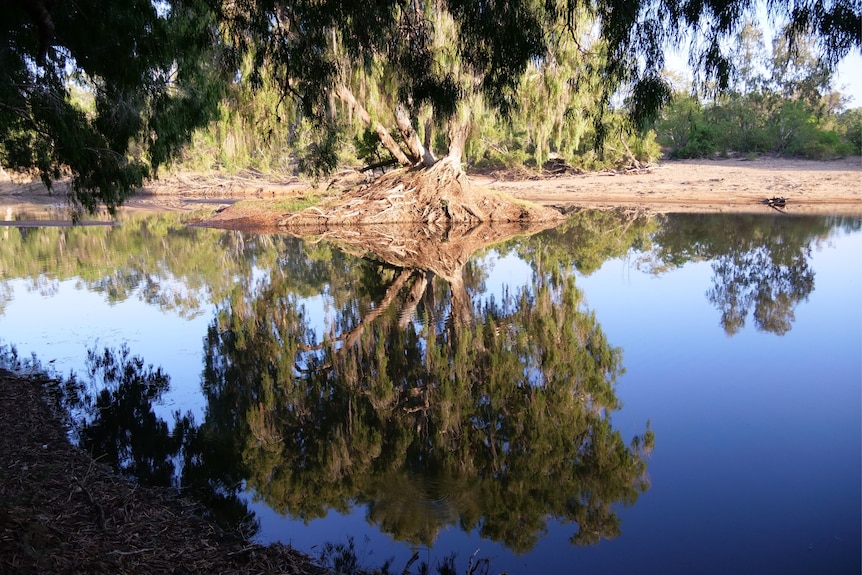 A billabong in FNQ.