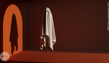 why a high publication rate doesn’t always reflect success