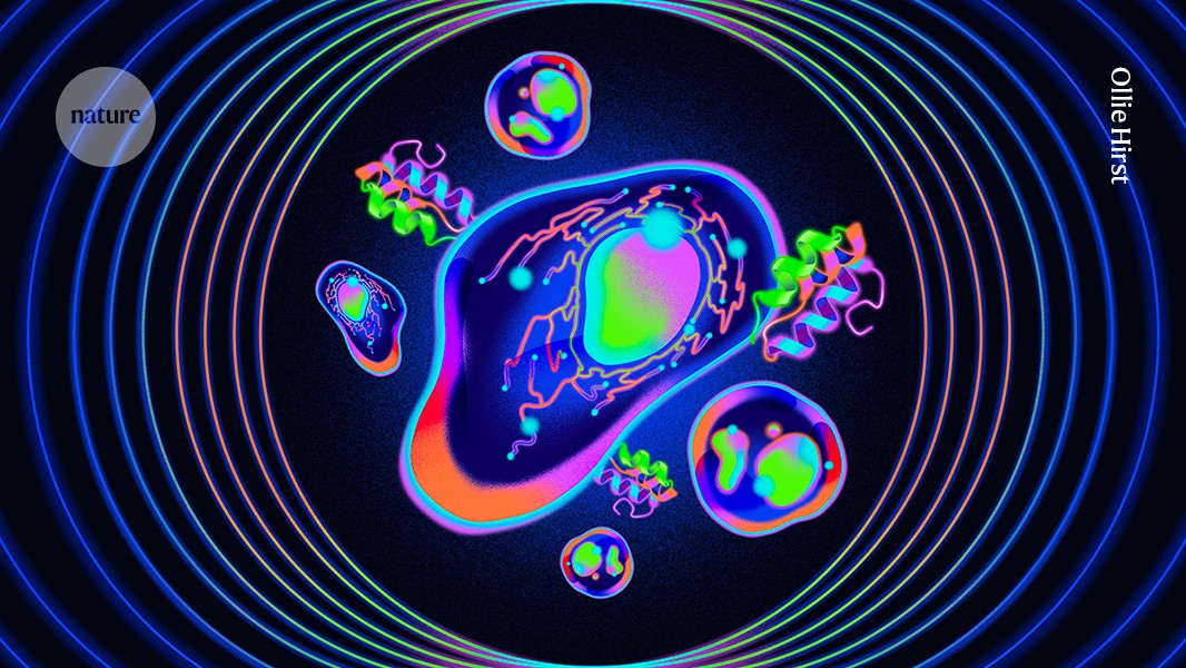 Why ‘quantum proteins’ could be the next big thing in biology