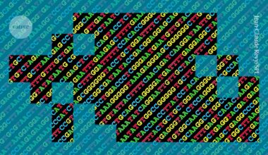 AI can write genomes — how long until it creates synthetic life?