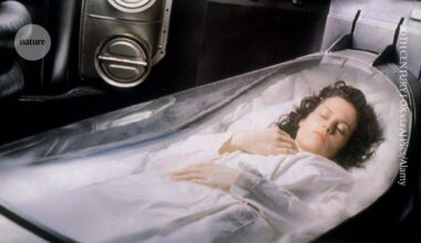 Scientists revive activity in frozen mouse brains for the first time