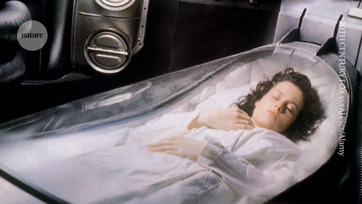 Scientists revive activity in frozen mouse brains for the first time