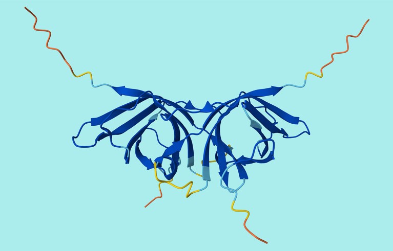 An Alphafold molecular model of Homodimer of Transcription elongation factor Eaf N-terminal domain-containing protein from the Google Deepmind dataset