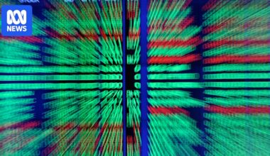 Why financial markets have thrown logic to the wind