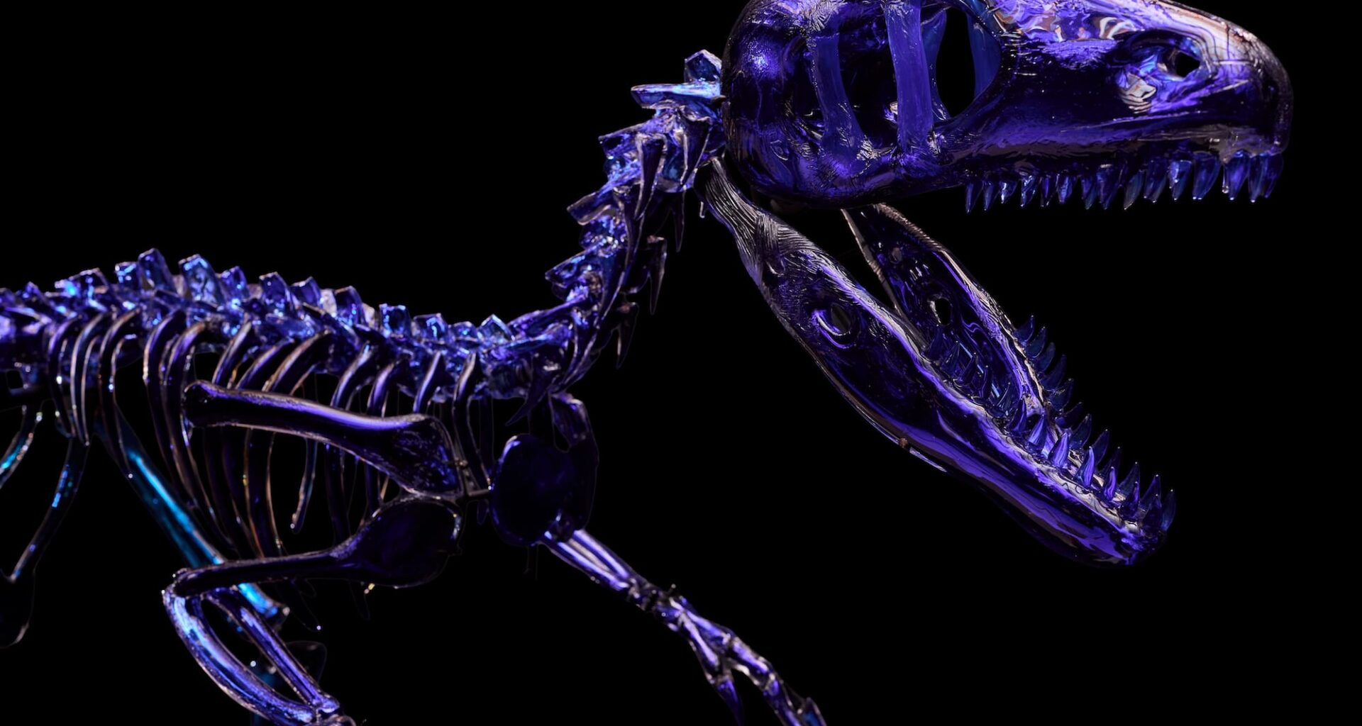 A life-size Dakotaraptor dinosaur skeleton made from blue glass