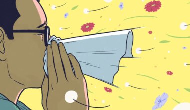 Did changing my diet cure my hay fever? 