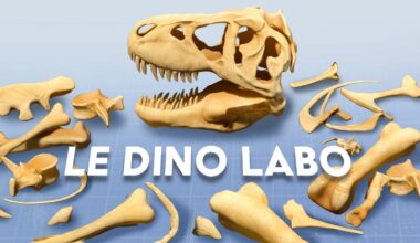 Mixed Reality Dinosaur Building Game Le Dino Labo Launches On Quest Today