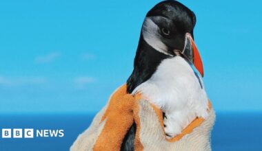 It's So Loud In Here!