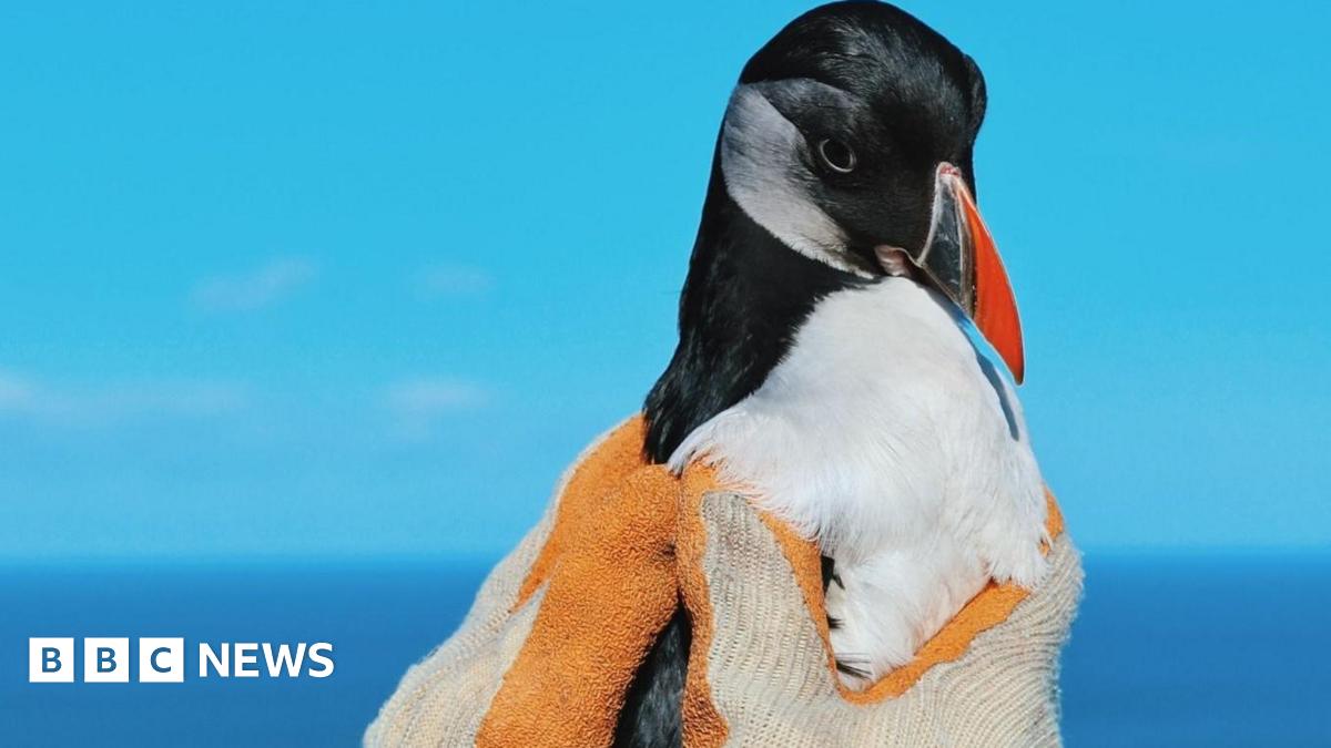 It's So Loud In Here!