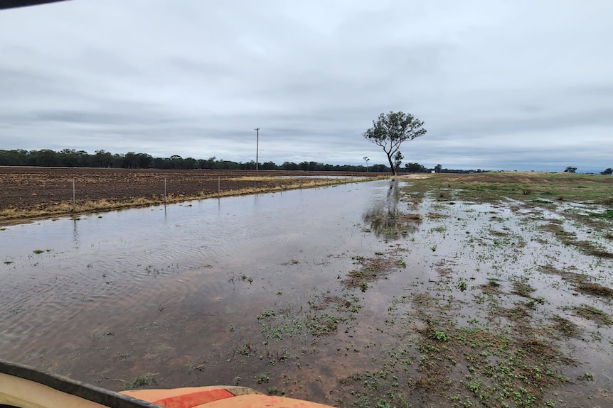 A flooded paddock