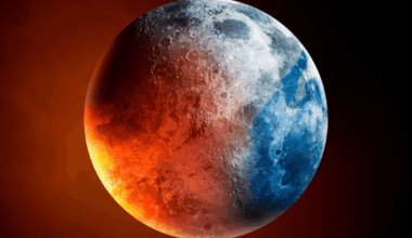 Earth’s First Mass Extinction Was Far Worse Than We Ever Knew