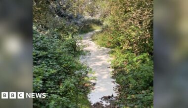 It's So Loud In Here!