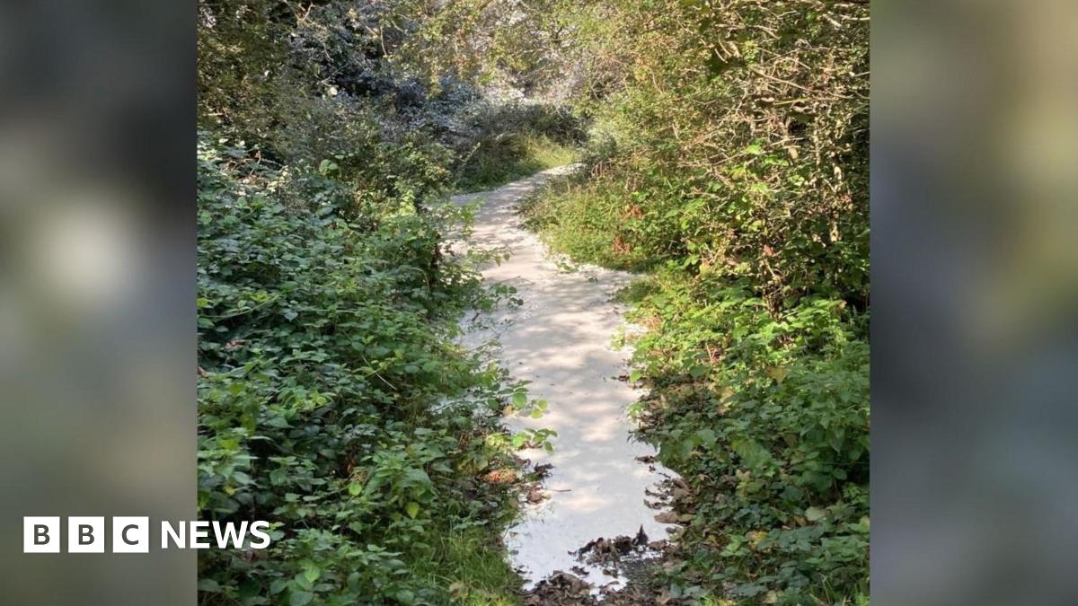 It's So Loud In Here!