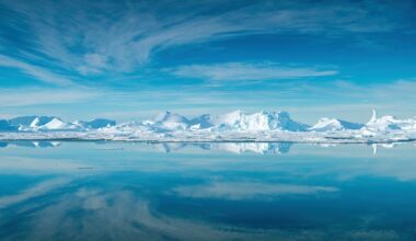 The Polar Regions of Earth: Our Planet's Complementary AC Units