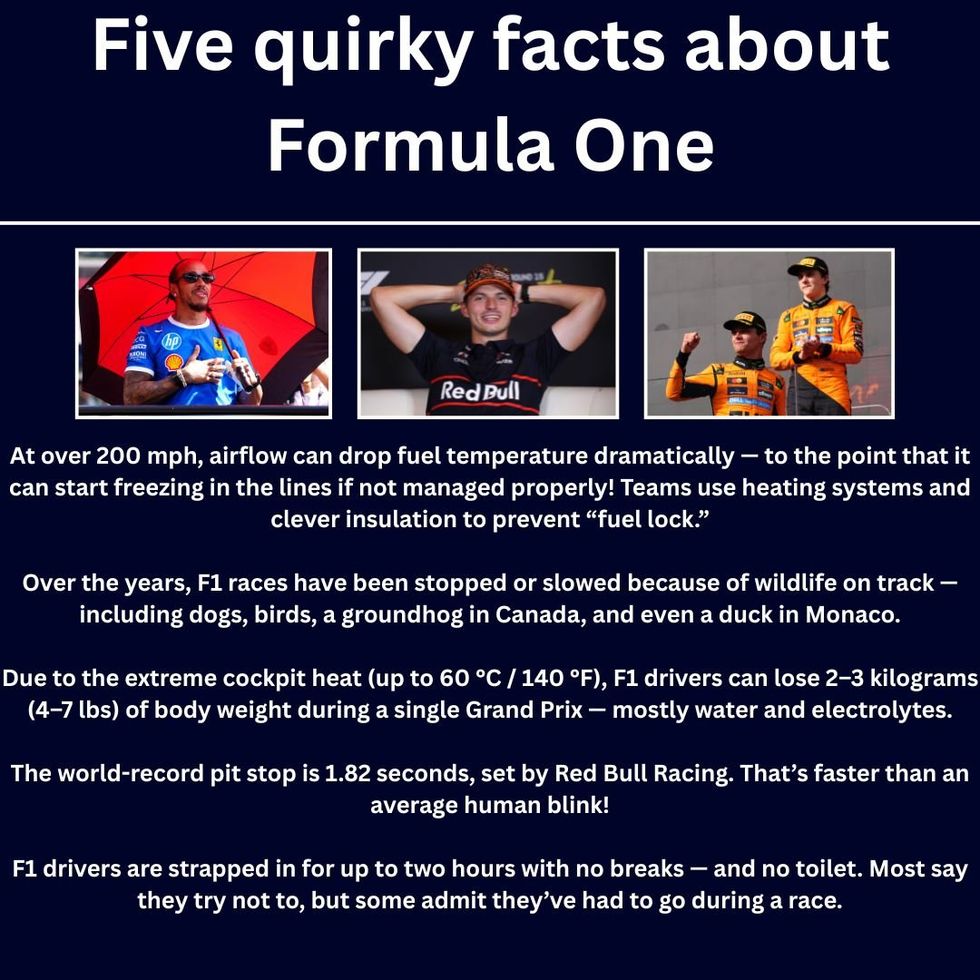 F1 facts