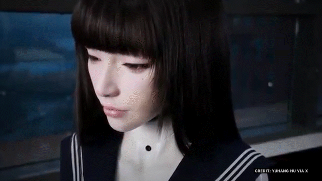 The face of our future? A robot that could replace anybody