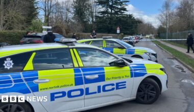 Teenage girl stabbed at Norfolk school and boy, 16, arrested