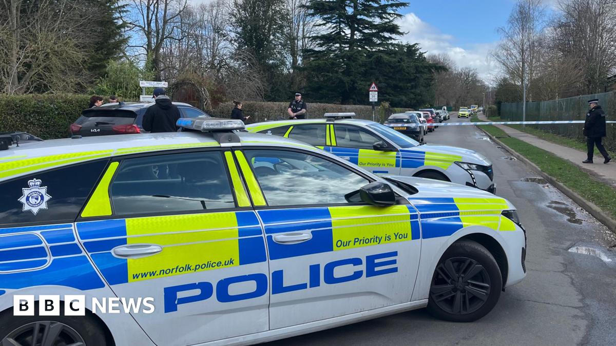 Teenage girl stabbed at Norfolk school and boy, 16, arrested