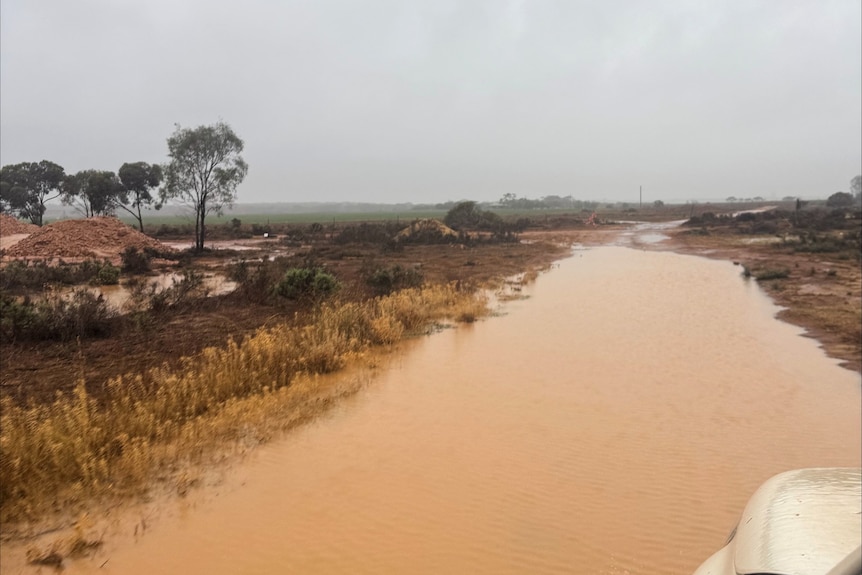 A flooded country road.