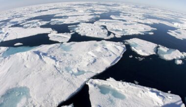 Budget cuts at Environment and Climate Change Canada threaten Arctic science