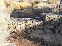 A wall of rocks piled on top of each other and held together by steel mesh, in a dry stream bed.