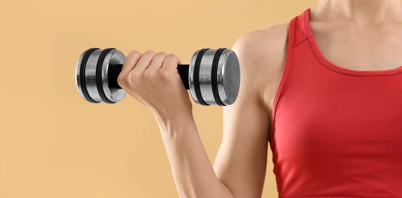 Could a gut microbe influence muscle strength?