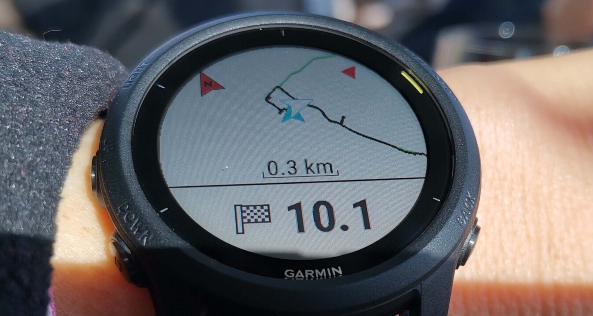 Talk to your Garmin data: New AI for smartphones connector nears launch
