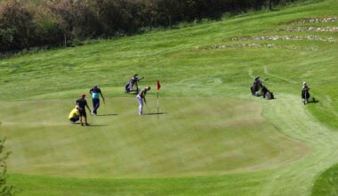foursomes Golfers at a green