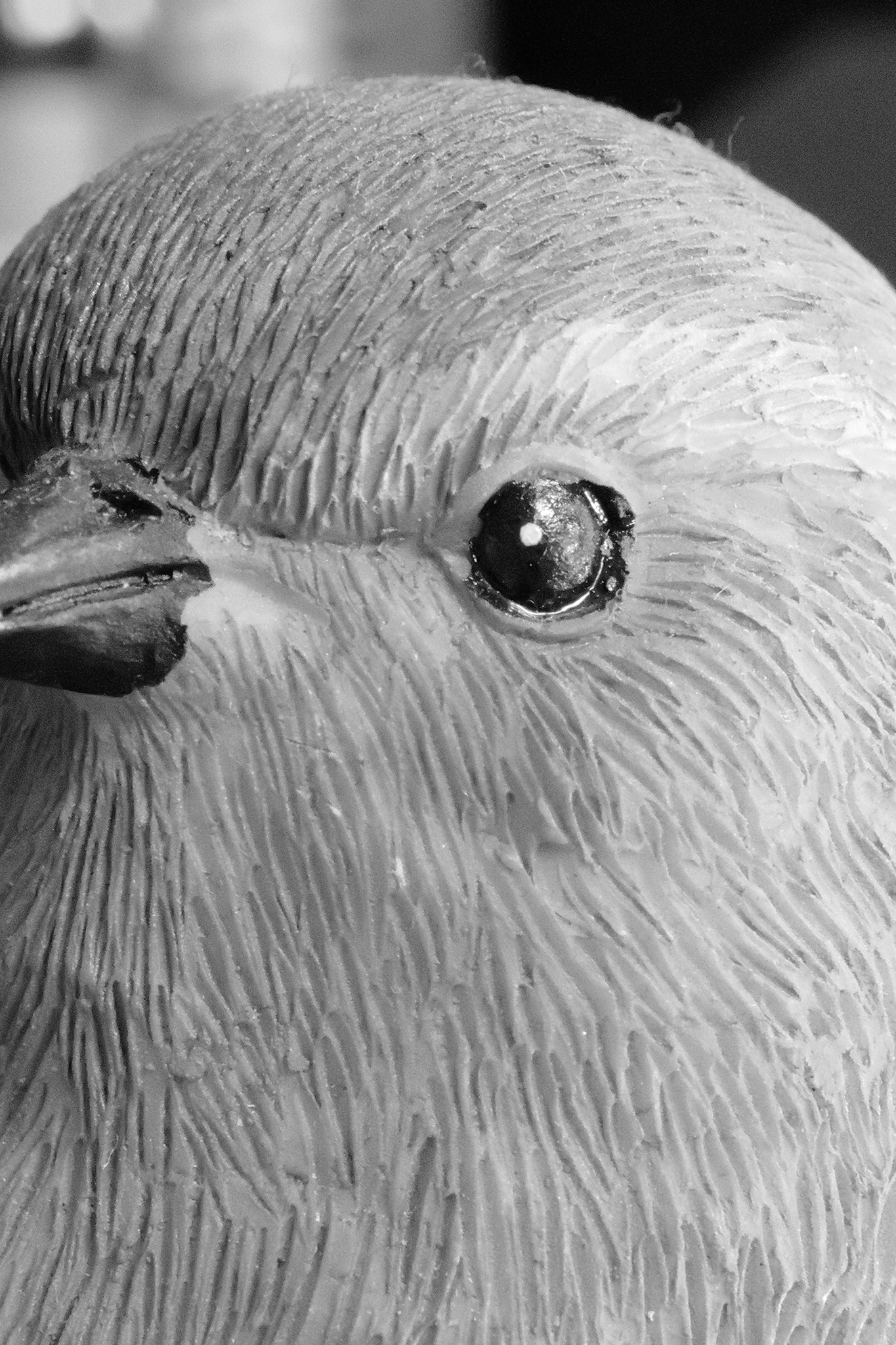 Leica Q3 Monochrom vs Google Pixel 10 Pro XL comparison