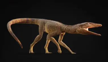 This crocodile ran like a greyhound across prehistoric Britain 200 million years ago