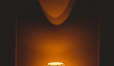 How Gaslighters Con Their Partners into Believing Them