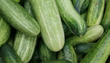 Foods That Naturally Cool Your Body In Summer