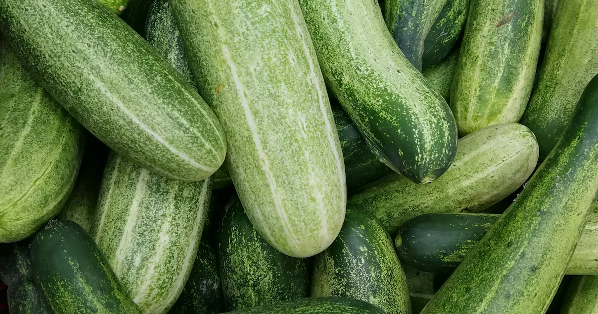 Foods That Naturally Cool Your Body In Summer