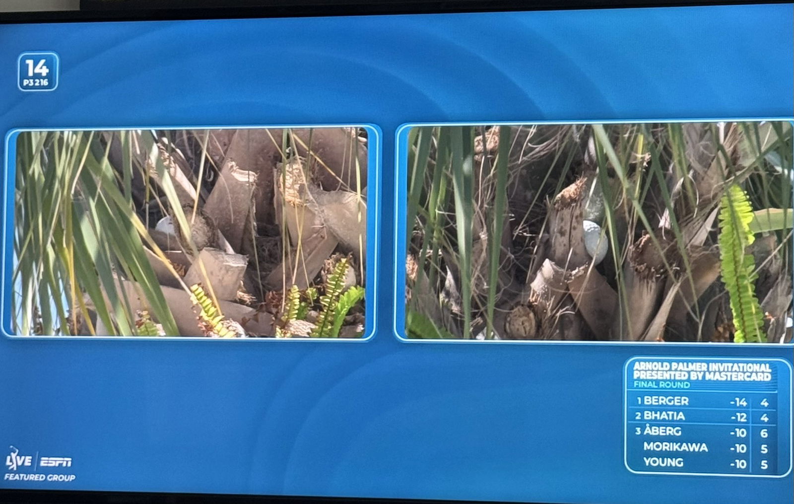 Scheffler was unable to identify his ball