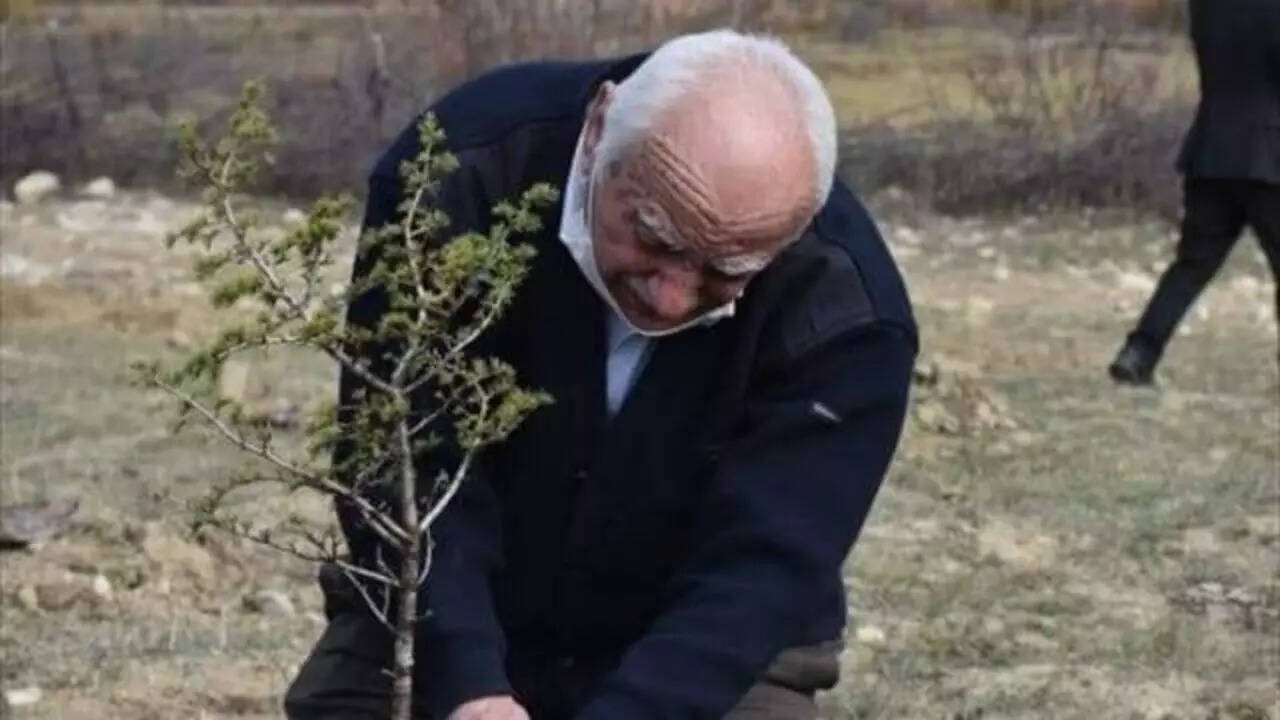 How Hikmet Kaya planted 30 million trees and transformed barren land