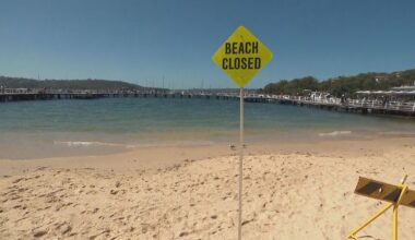 Sydney beach remains shut after second suspected shark sighting in as many days